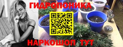 спиды Рузаевка