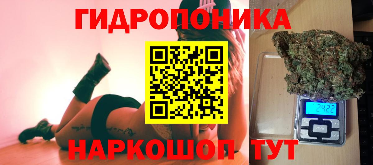 Бошки Шишки планчик Новокубанск